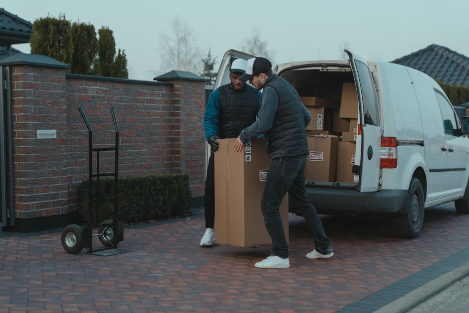 Two movers from Enfield Movers are engaged in a home relocation process, loading a large cardboard box into the back of a white moving van parked on a brick driveway. One mover, wearing a black cap, dark jeans, and a black quilted jacket, is holding the box steady while the other, dressed in a blue and black jacket with black gloves and white sneakers, is guiding it into the open vehicle. The interior of the van is visible, filled with similarly packed cardboard boxes ready for transport. An empty two-wheeled hand trolley stands nearby on the driveway. The scene is outdoors near a residential property with a brick wall, greenery, and a house with a tiled roof in the background. Natural daylight and overcast sky provide even lighting, emphasizing the logistics involved in furniture transport, packing, and loading during a professional move, as part of the services by Enfield Movers in the area of Palmers Green and Fox Lane.